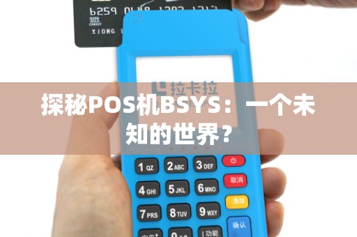 探秘POS机BSYS:一个未知的世界?