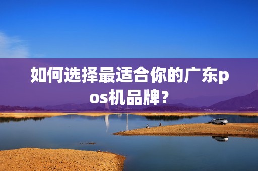 如何选择最适合你的广东pos机品牌?