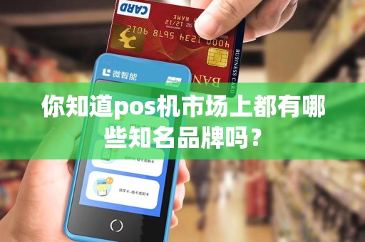 你知道pos机市场上都有哪些知名品牌吗?