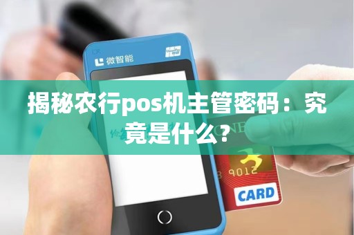 揭秘农行pos机主管密码:究竟是什么?