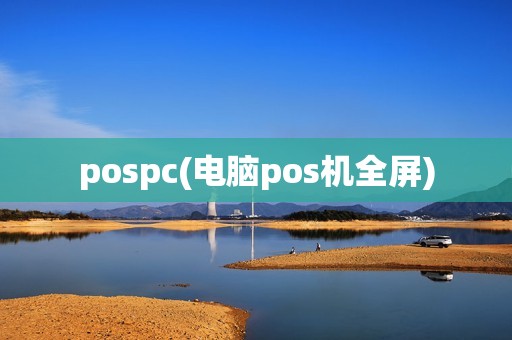 pospc(电脑pos机全屏)