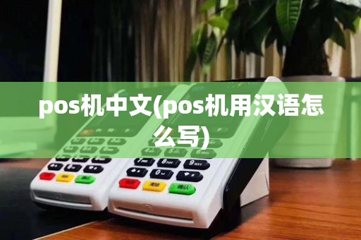 pos机中文(pos机用汉语怎么写)