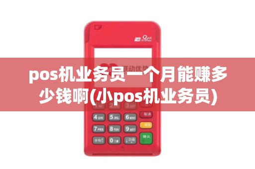 pos机业务员一个月能赚多少钱啊(小pos机业务员)