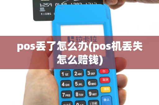 pos丢了怎么办(pos机丢失怎么赔钱)