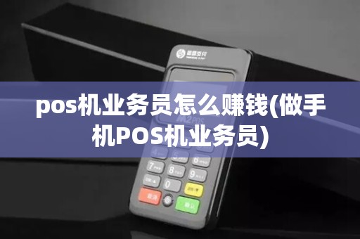 pos机业务员怎么赚钱(做手机POS机业务员)