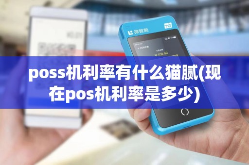 poss机利率有什么猫腻(现在pos机利率是多少)