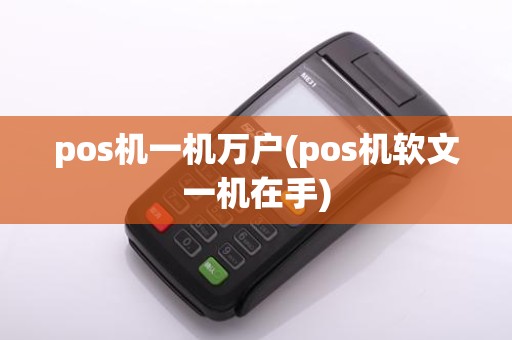 pos机一机万户(pos机软文一机在手)
