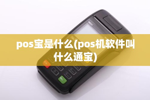 pos宝是什么(pos机软件叫什么通宝)