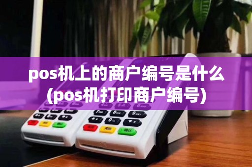 pos机上的商户编号是什么(pos机打印商户编号)