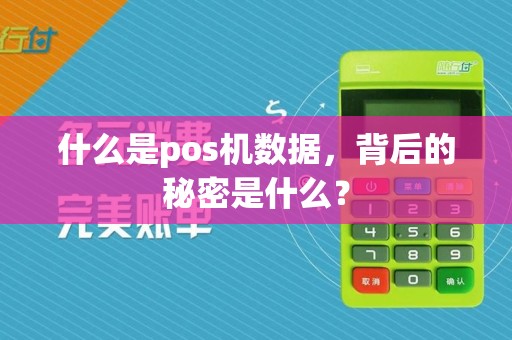 什么是pos机数据,背后的秘密是什么?