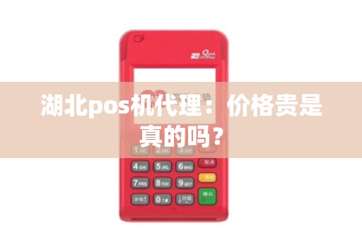 湖北pos机代理:价格贵是真的吗?