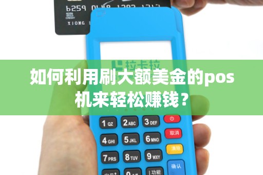 如何利用刷大额美金的pos机来轻松赚钱?
