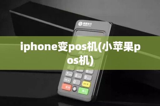 iphone变pos机(小苹果pos机)