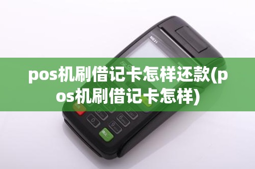 pos机刷借记卡怎样还款(pos机刷借记卡怎样)