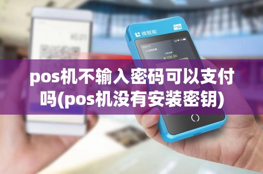 pos机不输入密码可以支付吗(pos机没有安装密钥)