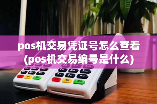 pos机交易凭证号怎么查看(pos机交易编号是什么)