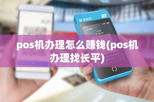 pos机办理怎么赚钱(pos机办理找长平)