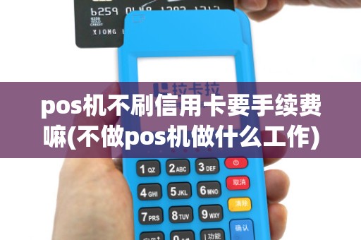 pos机不刷信用卡要手续费嘛(不做pos机做什么工作)