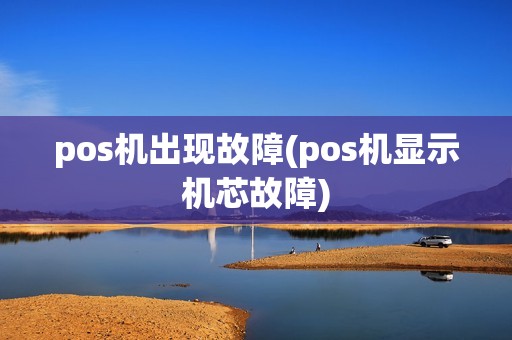 pos机出现故障(pos机显示机芯故障)
