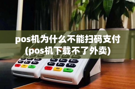 pos机为什么不能扫码支付(pos机下载不了外卖)
