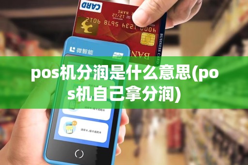 pos机分润是什么意思(pos机自己拿分润)