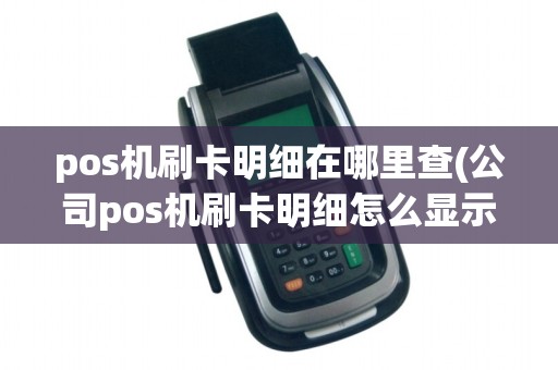 pos机刷卡明细在哪里查(公司pos机刷卡明细怎么显示)