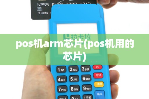 pos机arm芯片(pos机用的芯片)