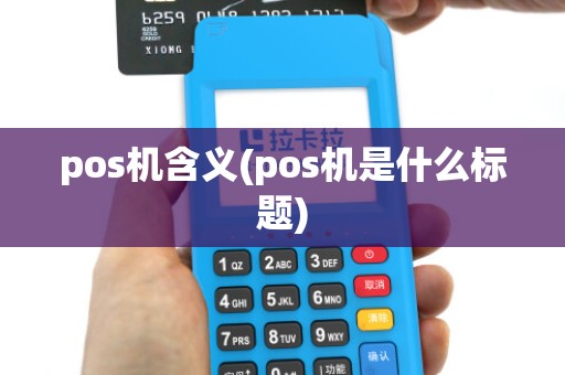 pos机含义(pos机是什么标题)