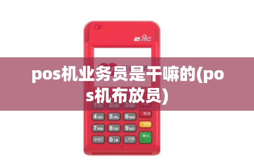 pos机业务员是干嘛的(pos机布放员)