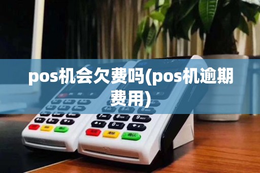 pos机会欠费吗(pos机逾期费用)