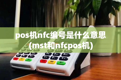 pos机nfc编号是什么意思(mst和nfcpos机)