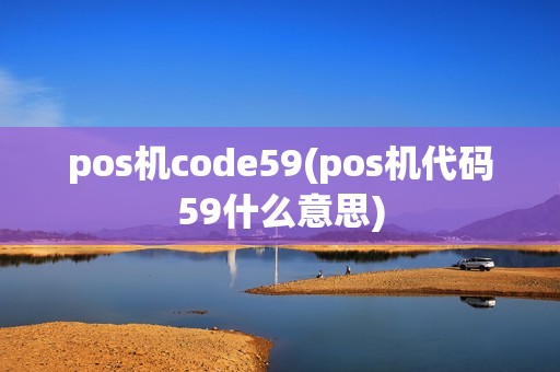 pos机code59(pos机代码59什么意思)