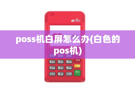 poss机白屏怎么办(白色的pos机)