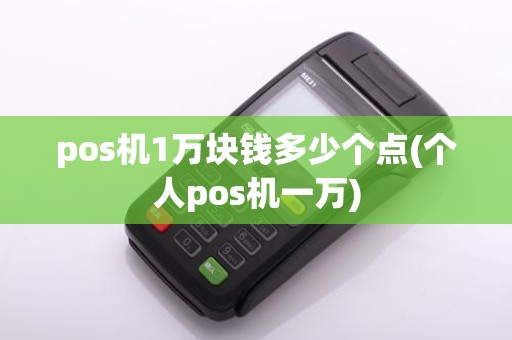 pos机1万块钱多少个点(个人pos机一万)