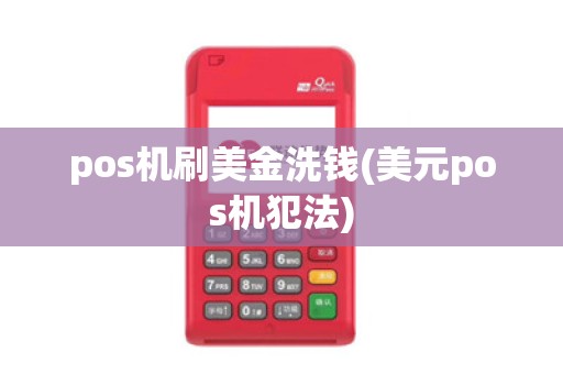 pos机刷美金洗钱(美元pos机犯法)