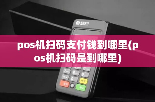 pos机扫码支付钱到哪里(pos机扫码是到哪里)