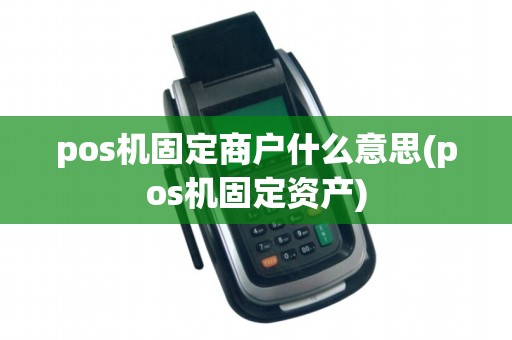 pos机固定商户什么意思(pos机固定资产)