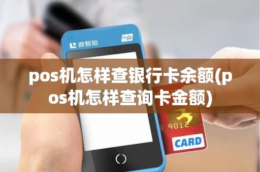 pos机怎样查银行卡余额(pos机怎样查询卡金额)