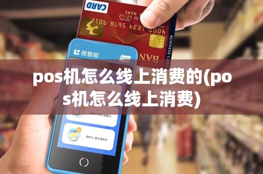 pos机怎么线上消费的(pos机怎么线上消费)