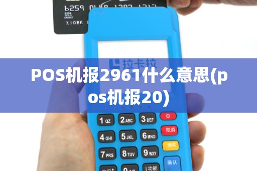 POS机报2961什么意思(pos机报20)