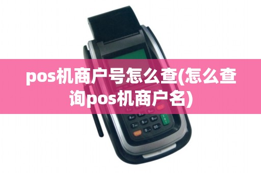 pos机商户号怎么查(怎么查询pos机商户名)