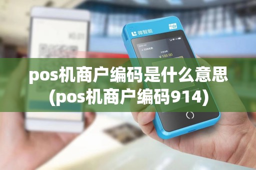 pos机商户编码是什么意思(pos机商户编码914)