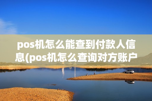 pos机怎么能查到付款人信息(pos机怎么查询对方账户)