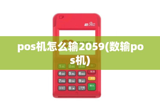 pos机怎么输2059(数输pos机)