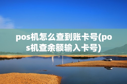 pos机怎么查到账卡号(pos机查余额输入卡号)
