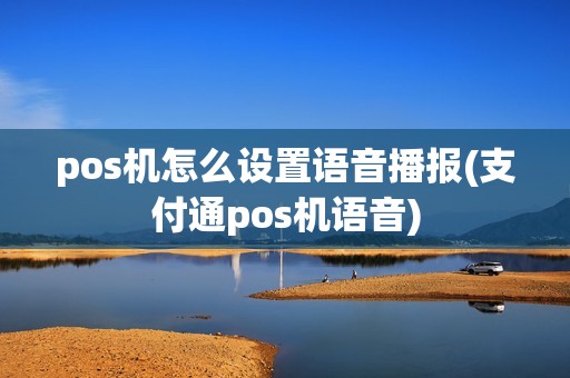pos机怎么设置语音播报(支付通pos机语音)