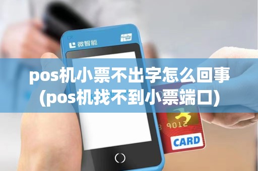 pos机小票不出字怎么回事(pos机找不到小票端口)