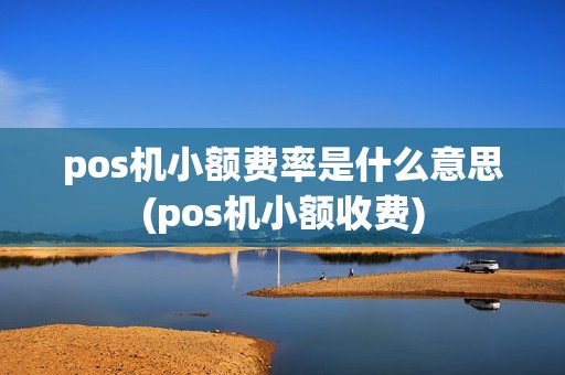pos机小额费率是什么意思(pos机小额收费)