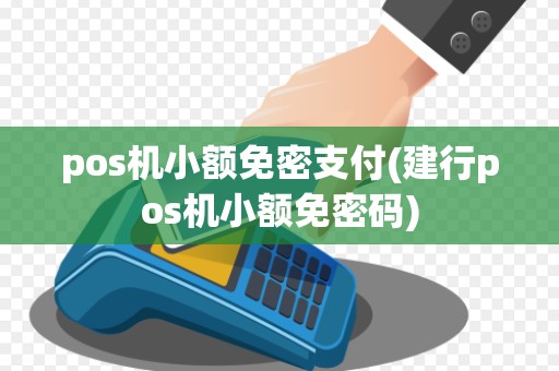pos机小额免密支付(建行pos机小额免密码)