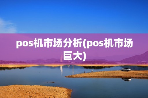 pos机市场分析(pos机市场巨大)